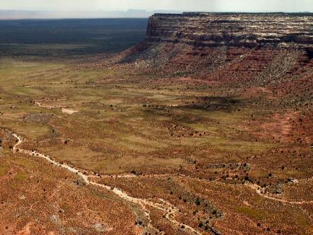 Cedar Mesa
